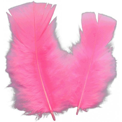 Craft Feathers Pink 5 Gram Craft Feathers Pink 5 Gram